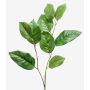 Dekozweig Apfelbaum KONSTANTIN, grün, 75cm