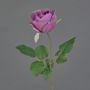 Künstliche Blume Rose POPI, violett-grün, 55cm, Ø7cm