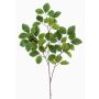 Künstlicher Buchen Zweig SIFOS, grün, 95cm