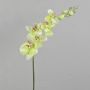 Phalaenopsis Orchideenzweig künstlich AMARNE, creme-grün, 85cm, Ø7-11cm