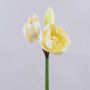 Künstliche Amaryllis GRELTA, creme-gelb, 80cm