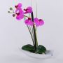 Kunstorchidee Phalaenopsis YANNIE, Schilf, Keramikschale, cerise, 30cm