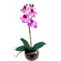 Deko Phalaenopsis Orchidee ZARMINAH im Dekotopf, Wurzeln, cerise, 35cm