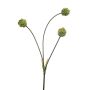 Allium Zweig künstlich VILMARA, grün, 70cm