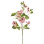 Dekozweig Stiefmütterchen EMOTI, rosa-gelb, 85cm