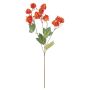 Künstlicher Zweig Physalis SEVERINA mit Früchten, orange, 60cm