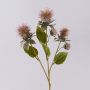 Plastik Färberdistel Blumen Zweig VALDISOLI, Trockenoptik, altrosa, 55cm