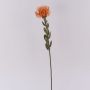 Kunstblume Nadelkissen Protea URMINE, Trockenoptik, orange, 60cm, Ø9cm