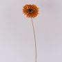 Gerbera künstlich TUNGUSKA, Trockenoptik, orange, 55cm, Ø11cm