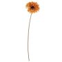 Gerbera künstlich TUNGUSKA, Trockenoptik, orange, 55cm, Ø11cm