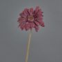 Gerbera künstlich TUNGUSKA, Trockenoptik, burgunderrot, 55cm, Ø11cm