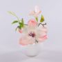 Künstliche Magnolie FEMI im weißen Keramiktopf, creme-aprikose, 20cm, Ø17cm