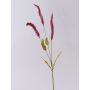 Deko Graszweig Liriope JELIKANTA mit Rispen, burgunderrot, 60cm