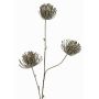 Künstlicher Zweig Nadelkissen Protea KAPO mit Glitzer, olivgrün, 85cm, Ø8cm