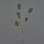 Wilde Karde künstlicher Zweig LORISU, petrolgrün, 65cm, Ø3-4cm