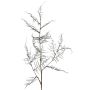Künstlicher Asparagus acutifolius Zweig NYALA, dunkelgrün, 85cm