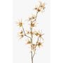 Künstlicher Zaubernuss Zweig ORAFA mit Blüten, beige, 80cm, Ø4-8cm