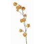 Künstlicher Physalis Zweig AINOS, Früchte, Glitzer, beige, 80cm