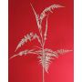 Deko Asparagus plumosus Zweig GIONA, silber, 85cm