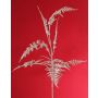 Deko Asparagus plumosus Zweig GIONA, silber, 85cm