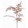 Deko Asparagus plumosus Zweig GIONA, kupfer, 85cm