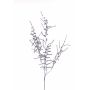 Künstlicher Zweig Asparagus acutifolius PARNASO, silber, 100cm