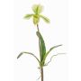 Kunst Paphiopedilum Orchidee VELANA, Steckstab, grün-weiß, 40cm