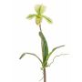 Paphiopedilum Orchidee künstlich VELANA, Steckstab, grün-weiß, 40cm