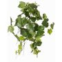 Dekohänger Weinrebe FODELE, crossdoor, Steckstab, grün, 60cm