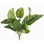 Künstlicher Philodendron Monstera adansonii ARKADIO, Steckstab, 40cm