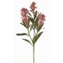 Kunstpflanzen Zweig Skimmie LAUSANA mit Blüten, mauve, 65cm, Ø7cm