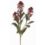 Kunstpflanzen Zweig Skimmie LAUSANA mit Blüten, burgunderrot, 65cm, Ø7cm
