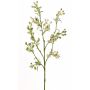 Künstlicher Myrte Zweig PALKA mit Beeren, grün-weiß, 65cm