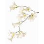 Kunstblumenzweig Jasmintrompete AURINA, weiß, 90cm