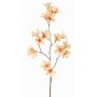 Kunstblumenzweig Jasmintrompete AURINA, pfirsich, 90cm