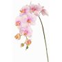 Dekozweig Phalaenopsis Orchidee WESA, rosa-weiß, 90cm, Ø11-12,5cm