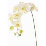 Dekozweig Phalaenopsis Orchidee WESA, weiß-grün, 90cm, Ø11-12,5cm