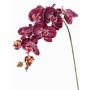 Dekozweig Phalaenopsis Orchidee WESA, dunkelviolett-weiß, 90cm, Ø11-12,5cm