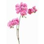 Kunstblumenzweig Phalaenopsis Orchidee VILLANI, rosa-pink, 60cm, Ø3,5-5cm