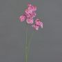 Kunstblumenzweig Phalaenopsis Orchidee VILLANI, rosa-pink, 60cm, Ø3,5-5cm