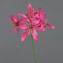 Kunstblume Gartenamaryllis KUSTANA, pink-grün, 70cm, Ø10-16cm