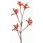 Deko Kängurublume LEOBER, rot-orange, 75cm, Ø4-8cm