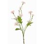 Künstliche Wiesen-Flockenblume HOLLA, zartrosa, 55cm, Ø3-4cm