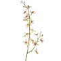 Künstlicher Cattleya Orchideenzweig TRASSA, hellgrün-rot, 80cm, Ø4-8cm