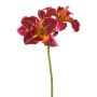 Kunstblume Taglilie NEULIDA mit Blüten, burgunderrot-orange, 65cm, Ø11cm