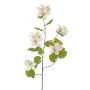 Kunstblumenzweig Bauhinia ENSANA, weiß, 120cm