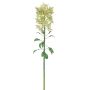 Kunstblume Euphorbia marginata LILWENA, grün-gelb, 85cm