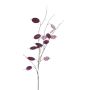 Kunstzweig Silberblatt PIORENA, violett, 80cm
