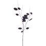 Kunstzweig Silberblatt PIORENA, schwarz, 80cm