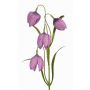 Künstliche Schachbrettblume SANEM, lila, 45cm, Ø3cm